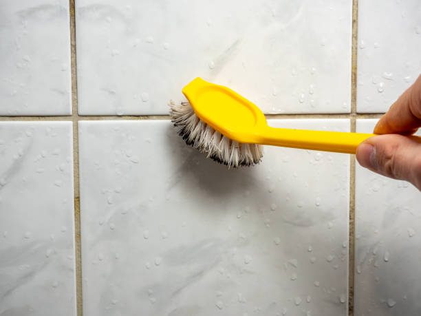 Best Water Damage Restoration  in Broad Brook, CT