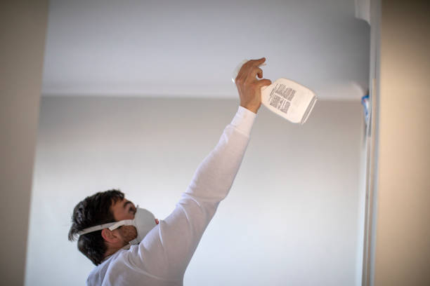 Best Residential Mold Removal  in Broad Brook, CT