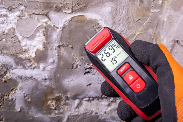 Best Mold Remediation  in Broad Brook, CT
