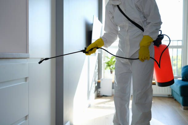 Best Mold Removal Process  in Broad Brook, CT