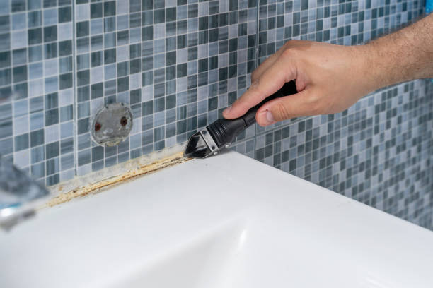 Best Local Mold Removal Service  in Broad Brook, CT