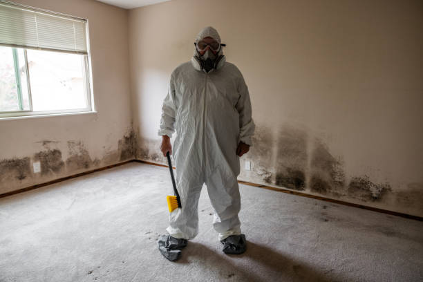 Best Emergency Mold Removal  in Broad Brook, CT
